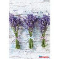 Levendula Bouquet A/4 gumis mappa