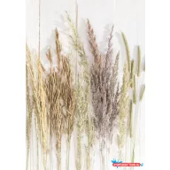 Természet Golden Harvest A/4 gumis mappa