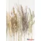 Természet Golden Harvest A/4 gumis mappa