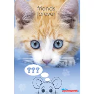 Cicás Friends Forever A/4 gumis mappa
