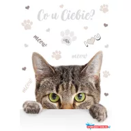 Cicás Meow A/4 gumis mappa