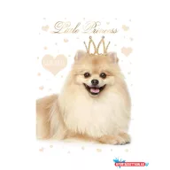 Kutyás Little Princess A/4 gumis mappa