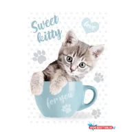 Cicás Sweet Kitty A/4 gumis mappa