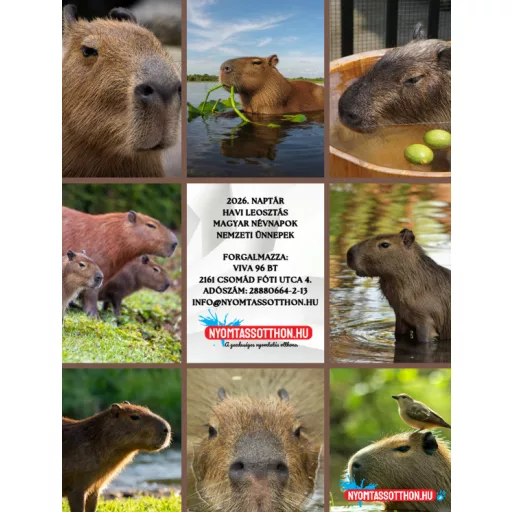 2026 Kapibara – Vicces fali naptár (A4)