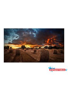 SAMSUNG 55" VMT-U Videofal kijelző
