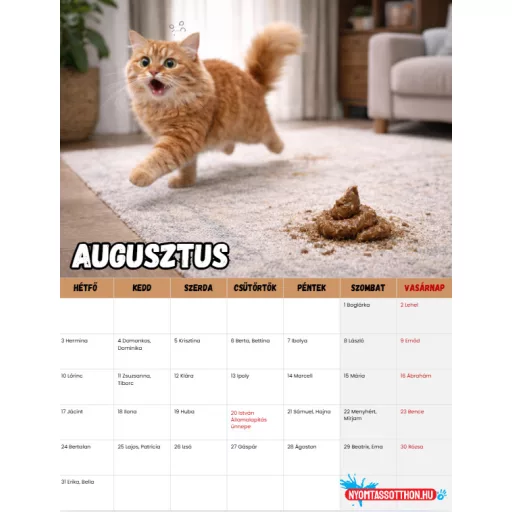 2026 MacsKaka – Vicces macskás fali naptár (A4)