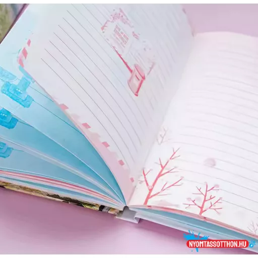 Keményfedeles cicás számzáras notesz (B6)