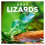   Falinaptár képes lemeznaptár 300x300mm, Lizards Realsystem 2027.