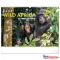 Falinaptár képes  480x330mm Wild Africa Realsystem 2027.