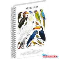   Jegyzetfüzet ikerspirálos Animalium – Birds, sima, 21x29,7cm A4, Presco
