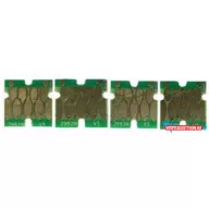 EPSON T2991 CHIP Bk. /AX/ * (For use)