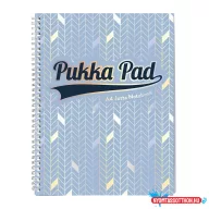 Spirálfüzet vonalas PUKKA PAD A/4 100 lapos Glee világoskék