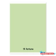   Füzet vonalas FORTUNA Monocolor A/5 32 lapos 21-32 4-8.osztályos pasztell zöld