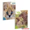 Spirálfüzet vonalas ARS UNA Icons of the Wild A/4 60 lapos