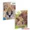 Spirálfüzet kockás ARS UNA Icons of the Wild A/4 60 lapos