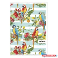 Spirálfüzet vonalas NEBULO L-Design A/4 70 lapos