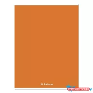 Füzet kockás FORTUNA Monocolor A/4 32 lapos 87-32 narancssárga
