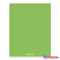 Füzet kockás FORTUNA Monocolor A/4 32 lapos 87-32 zöld