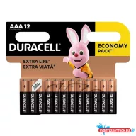 Elem mikro DURACELL Basic MN2400 AAA 12-es