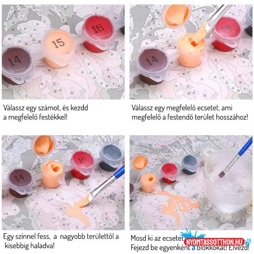 Számos kifestő, 40x50cm, keret nélkül - nagy oroszlán