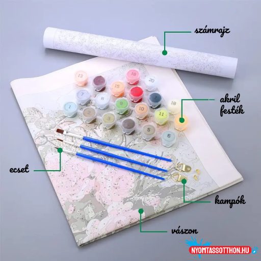 Számos kifestő, 40x50cm, keret nélkül - teknős