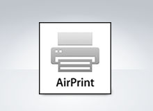 Apple Air Print™
